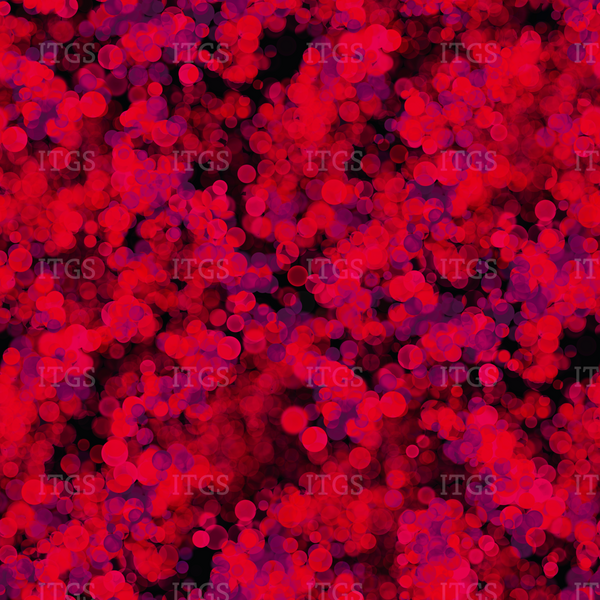 Meant To Be Coordinate - Red