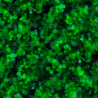 Meant To Be Coordinate - Green
