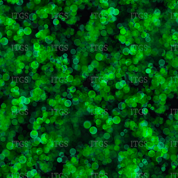 Meant To Be Coordinate - Green