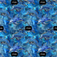 Subtle Surprises  - Dolphin