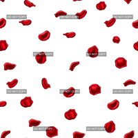 Clear Vinyl Design  -  Love and Roses 7