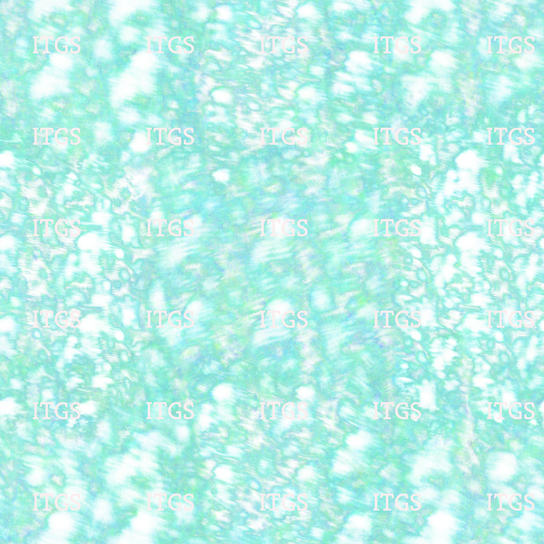 RTS -  Sewing Experiment Coordinate - Aqua Bamboo Lycra