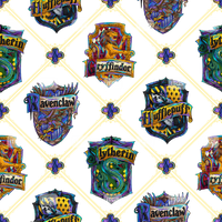 Clear Vinyl Design  - Wall of Wizards 5