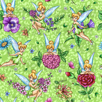 Floral Fairies Main 4