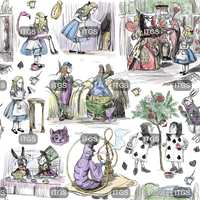Clear Vinyl Design  - Vintage Wonderland