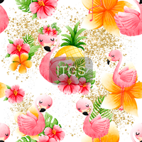 Clear Vinyl Design  -   Shy Flamingo