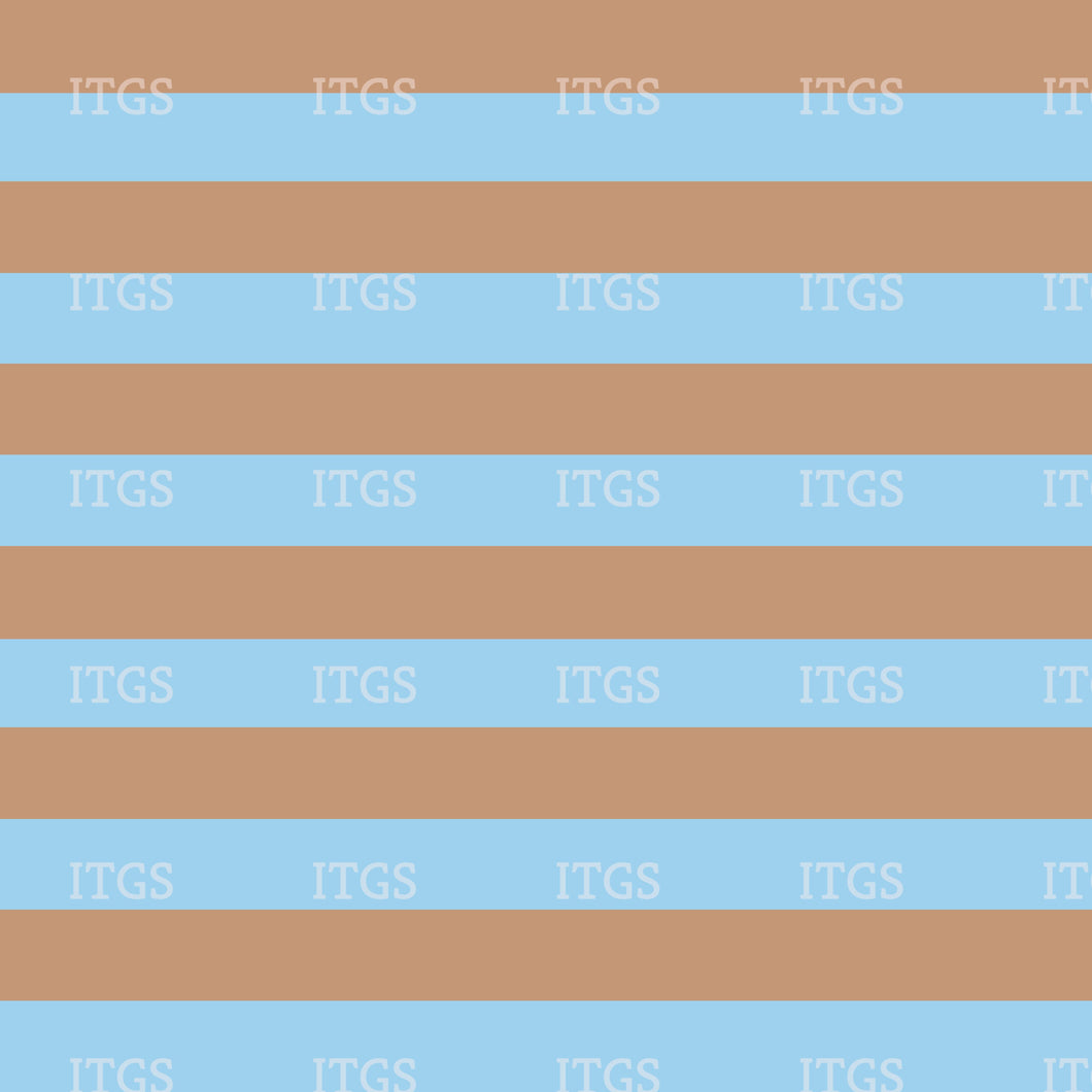 RTS -  Sketchy Pals Coordinate - Blue Striped Vinyl