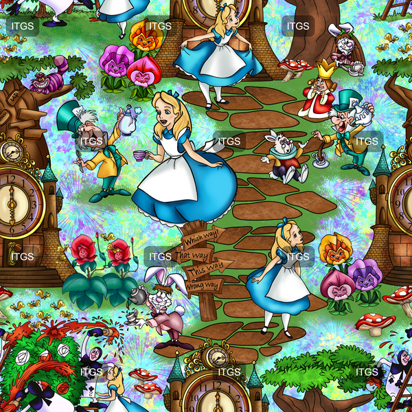 Enchanted Wonderland  - Fireworks