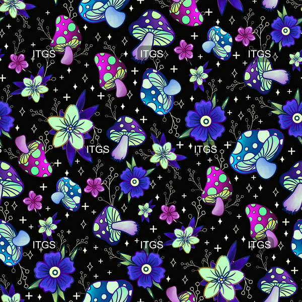Moon Gazer Coord 1