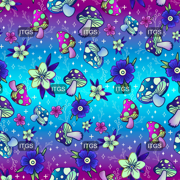Moon Gazer Coord 2