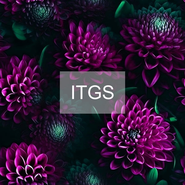 Plum Mums