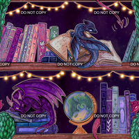 Dragon Stories - Shelves