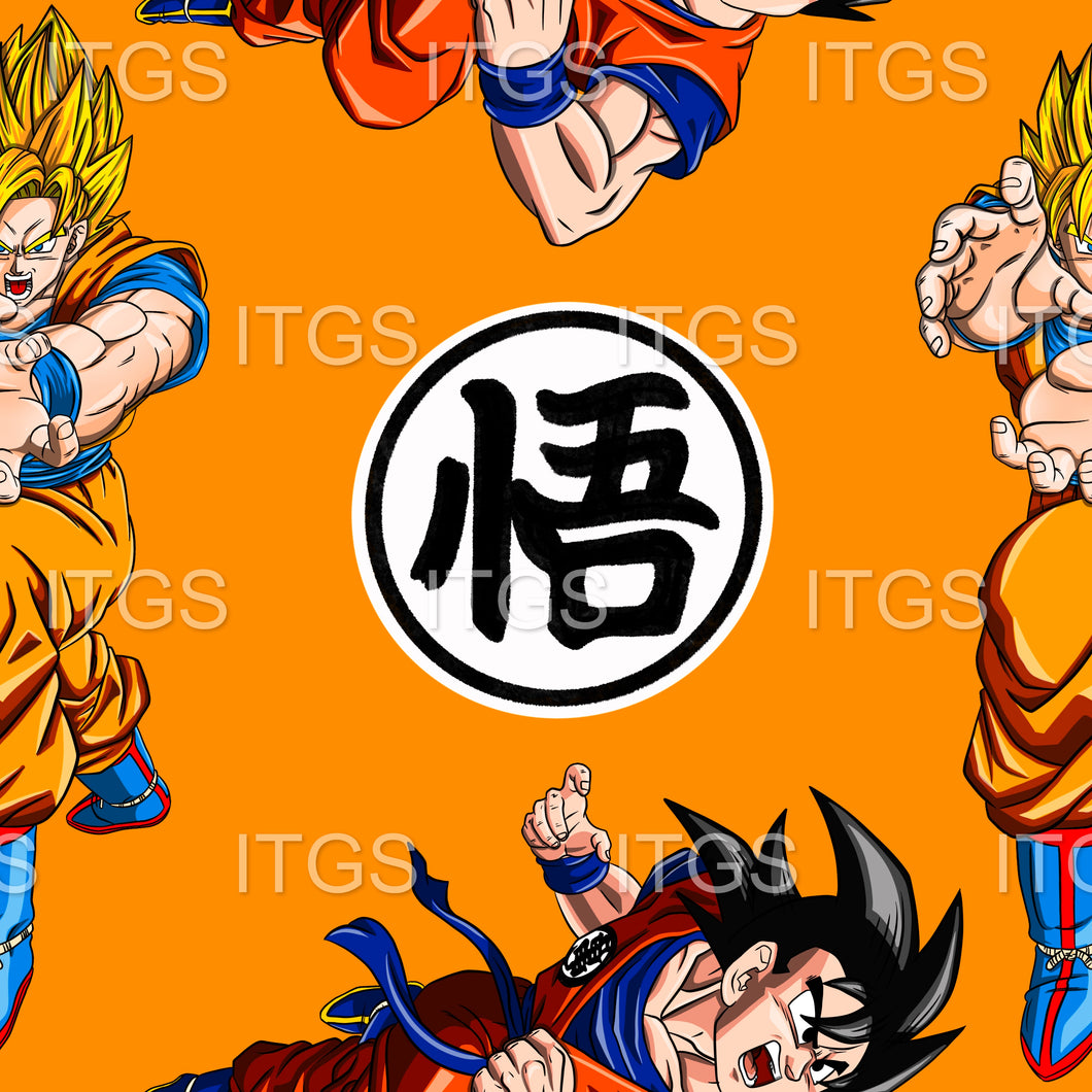 RTS - Anime Warriors Vinyl