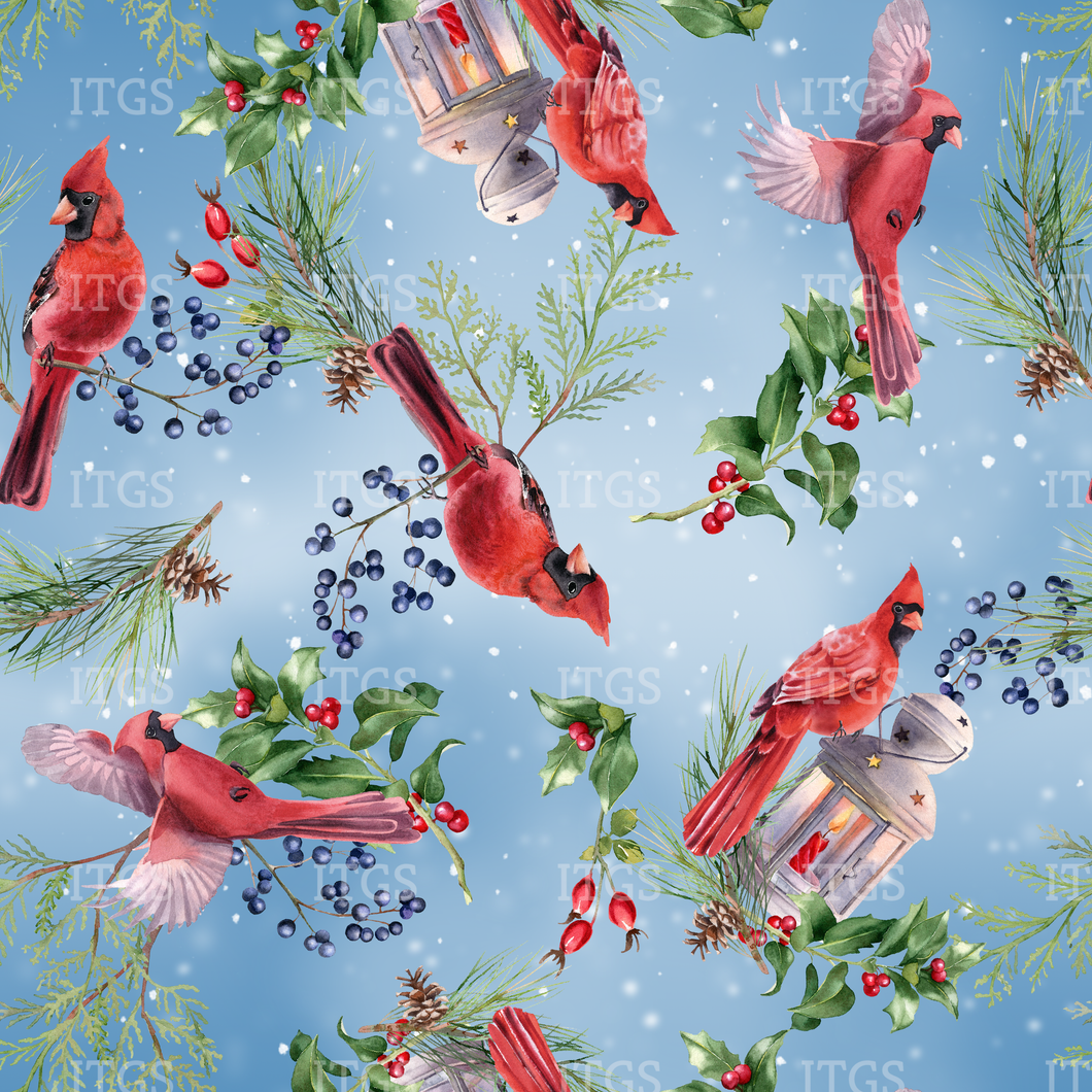 RTS - Feathered Peace Minky