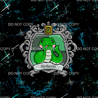 Wizards Crest 2 Panel 1