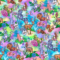 Enchanted Adventure Coordinate 1