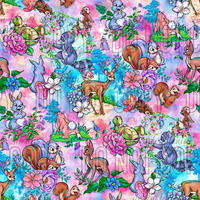 Enchanted Adventure Coordinate 2