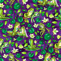 Frog Fairytale Coordinate 2C