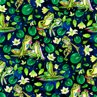 Frog Fairytale Coordinate 2D