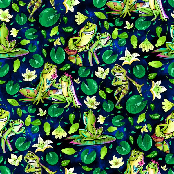 Frog Fairytale Coordinate 2D