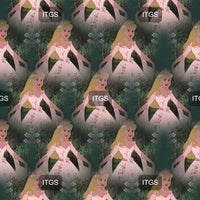 Mirror Image -Sleeping Princess