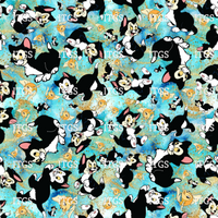 Our Favorite Cat - Exclusive